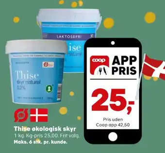 Kvickly Thise skyr naturel tilbud