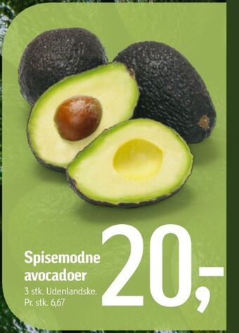 Føtex Apeel avocado tilbud