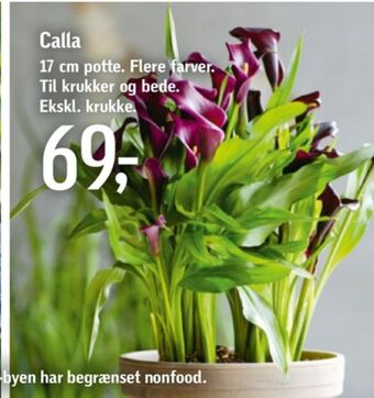 Ukendt planter