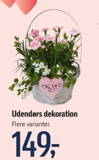 Føtex Ukendt planter tilbud