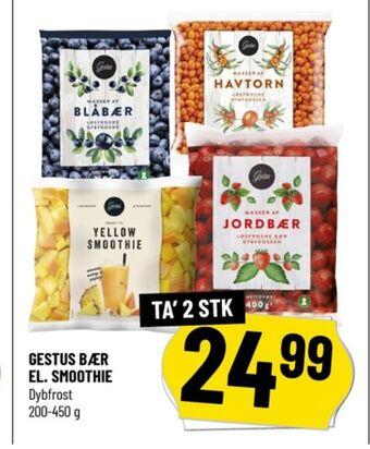 Løvbjerg Gestus bær tilbud