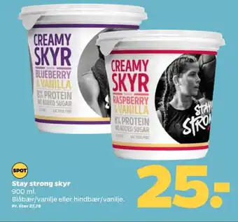 Netto Stay strong skyr blåbær & vanilje tilbud