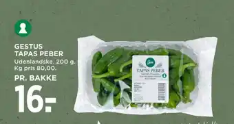 MENY Gestus padron peber tilbud