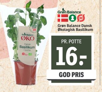 SPAR Grøn balance krydderurter tilbud
