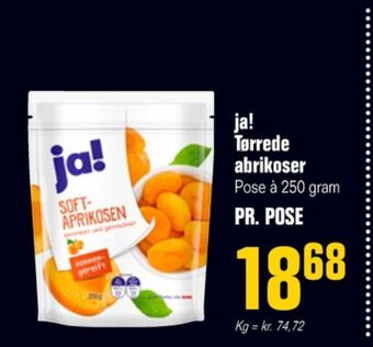 Poetzsch Padborg Ja! abrikoser tilbud
