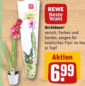 REWE DE Orchideen¹ tilbud