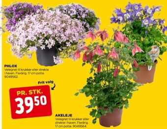 jem & fix Ukendt planter tilbud