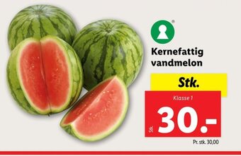 Lidl Kernefattig vandmelon tilbud