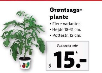 Lidl Grøntsagsplante tilbud