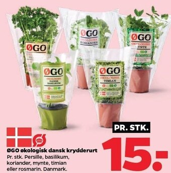 Øgo økologisk dansk krydderurt