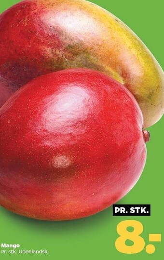 Netto Mango tilbud