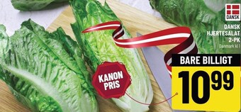 Løvbjerg Dansk hjertesalat tilbud