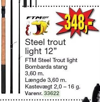 Ftm steel trout 12