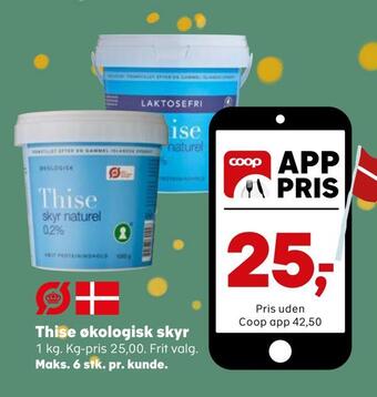 Kvickly Thise økologisk skyr tilbud