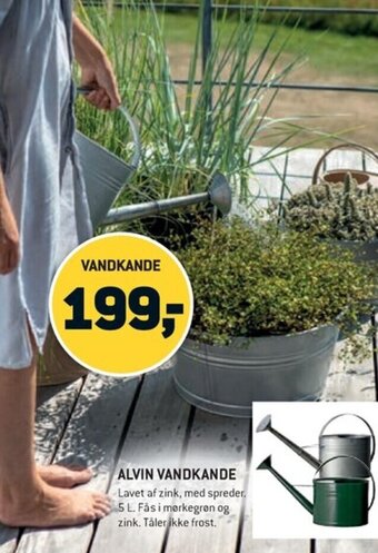 ALVIN VANDKANDE