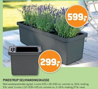 XL-BYG PINDSTRUP SELVVANDINGSKASSE tilbud