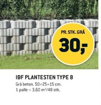 IBF PLANTESTEN TYPE 8