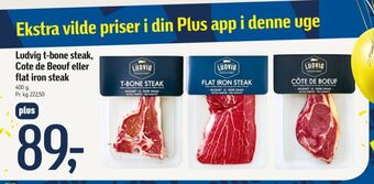 Ludvig t-bone steak