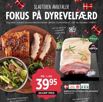 Friland frilandsgris ribbensteg