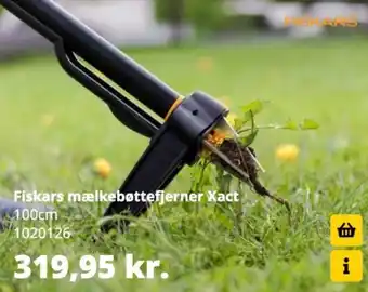 Xact mælkebøttefjerner
