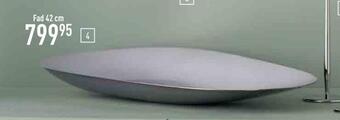 Dorotea fad