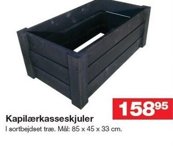 Kapilærkasseskjuler