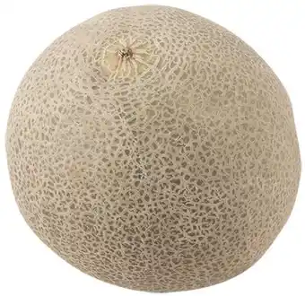 Cantaloupe melon, 1 ct