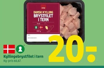 Kyllingebrystfilet i tern