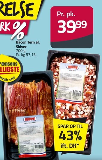 Bacon Tern el. Skiver