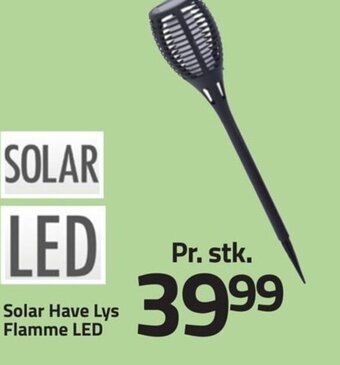 Solar Have Lys Flamme LED