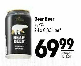Bear Beer