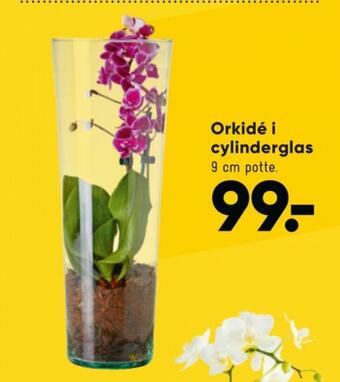 Ukendt planter
