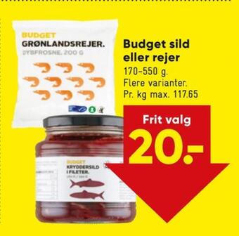 Budget rejer