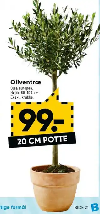 Bilka Ukendt træ tilbud