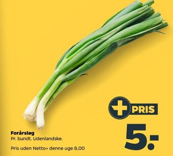 Netto Ukendt forårsløg tilbud