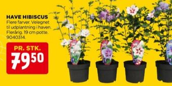 jem & fix Ukendt planter tilbud