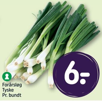 Ukendt forårsløg