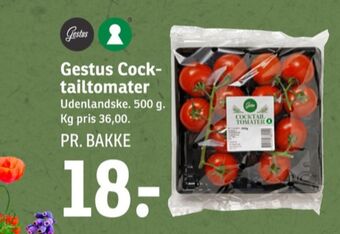 Gestus tomater