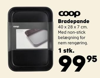 Bradepande