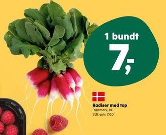 Radiser med top