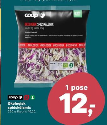 SuperBrugsen Økologisk spidskålsmix tilbud