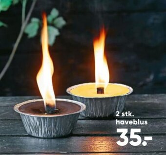 2 stk. haveblus