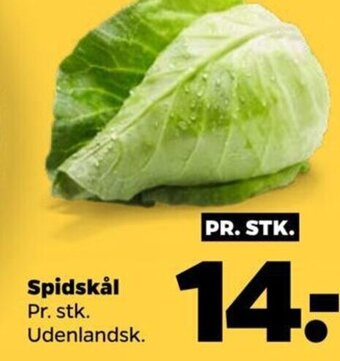 Netto Spidskål tilbud