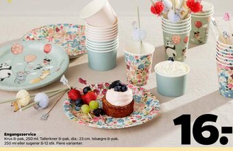 Netto Engangsservice tilbud