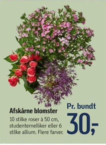 Føtex Afskårne blomster tilbud