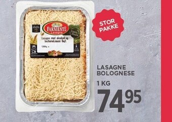 Lasagne bolognese