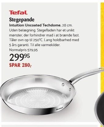 Tefal stegepande