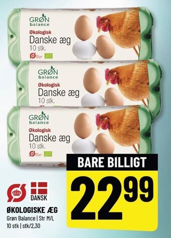 ØKOLOGISKE ÆG