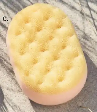 Badesvamp