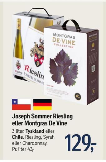 Føtex Joseph sommer riesling eller montgras de vine tilbud